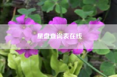 星盘查询表在线