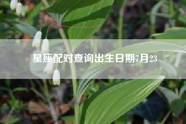 星座配对查询出生日期7月23