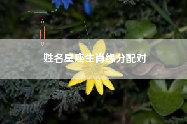 姓名星座生肖缘分配对