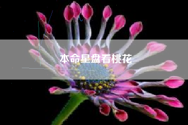 本命星盘看桃花