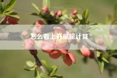 怎么看上升星座计算