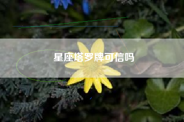 星座塔罗牌可信吗