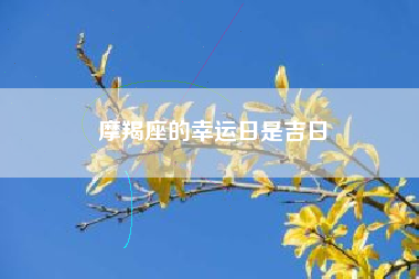 摩羯座的幸运日是吉日