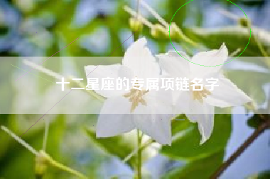 十二星座的专属项链名字