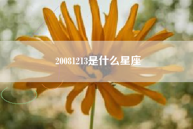 20081213是什么星座