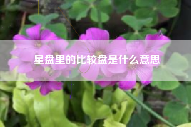 星盘里的比较盘是什么意思