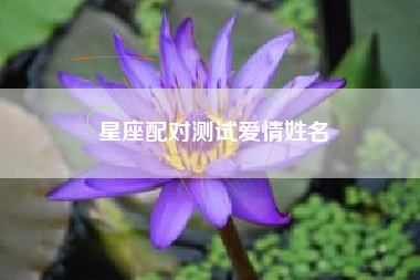 星座配对测试爱情姓名