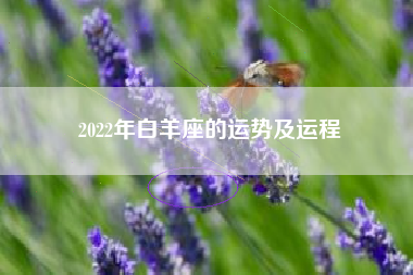 2022年白羊座的运势及运程