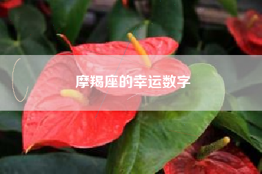 摩羯座的幸运数字