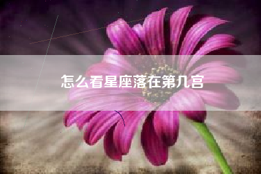 怎么看星座落在第几宫