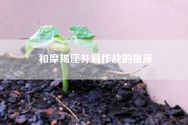 和摩羯座并肩作战的星座