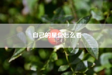 自己的星盘怎么看