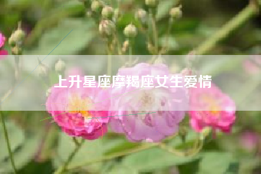 上升星座摩羯座女生爱情