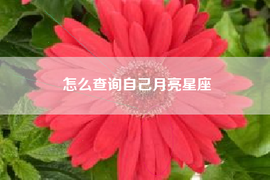 怎么查询自己月亮星座