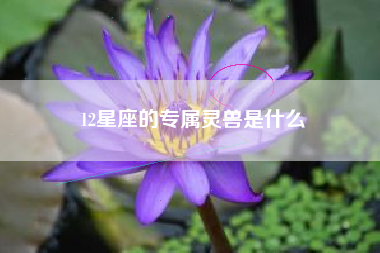 12星座的专属灵兽是什么