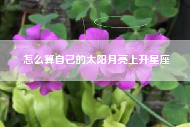 怎么算自己的太阳月亮上升星座