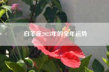 白羊座2023年的全年运势