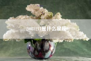 20081211是什么星座