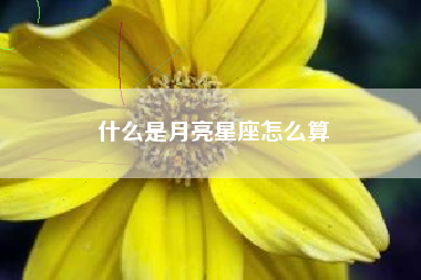 什么是月亮星座怎么算