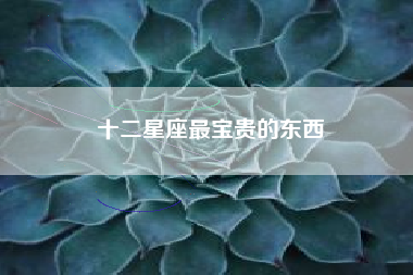 十二星座最宝贵的东西