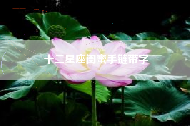 十二星座闺蜜手链带字