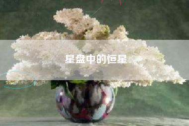 星盘中的恒星