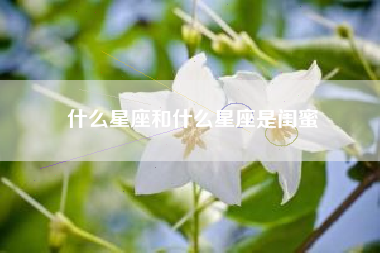 什么星座和什么星座是闺蜜