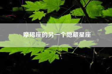 摩羯座的另一个隐藏星座