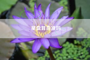 星盘算命准吗