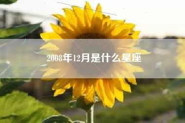 2008年12月是什么星座