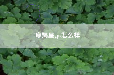 摩羯星gps怎么样