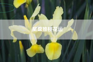 星盘推桃花运