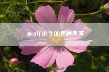 2008年出生的是啥星座