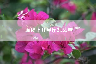 摩羯上升星座怎么查