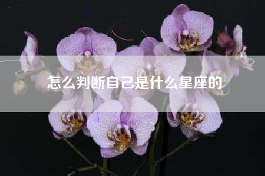 怎么判断自己是什么星座的