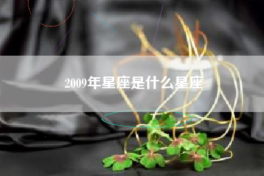 2009年星座是什么星座