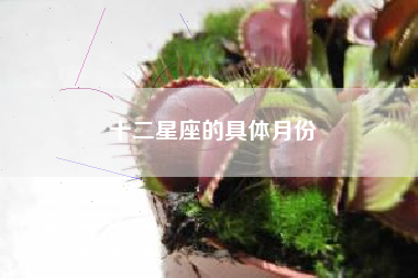 十二星座的具体月份