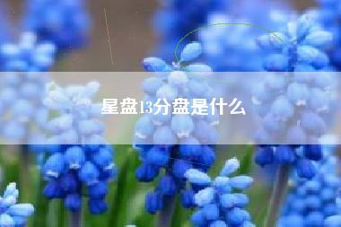 星盘13分盘是什么