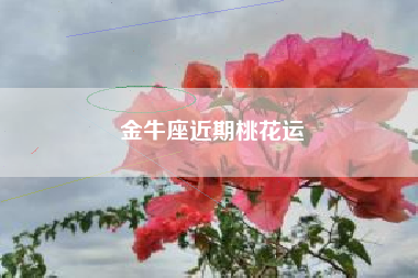 金牛座近期桃花运