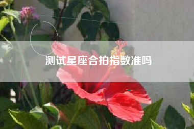 测试星座合拍指数准吗