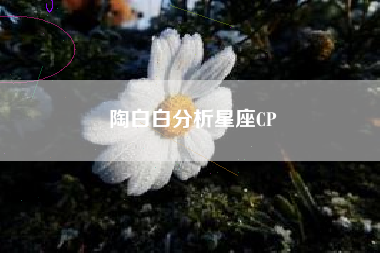 陶白白分析星座CP