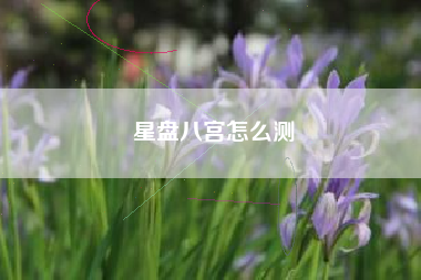 星盘八宫怎么测