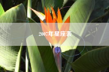 2007年星座表