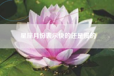 星座月份表示快的还是慢的