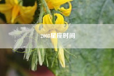 2008星座时间