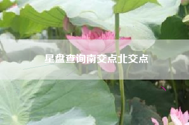 星盘查询南交点北交点