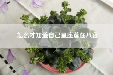 怎么才知道自己星座落在八宫