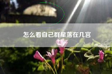 怎么看自己群星落在几宫