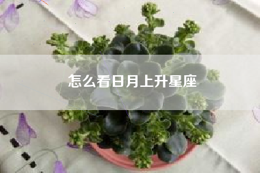 怎么看日月上升星座