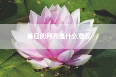 星座的月亮是什么意思